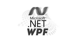 MS NET WPF